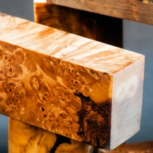 53 - Modified Wood & Engineered Wood