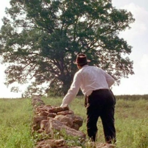 93 - Can An Oak Set Legal Precedent?