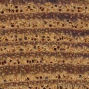 68 - Interpreting Working Properties of Wood