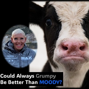 Always GRUMPY…Could it be better than MOODY?