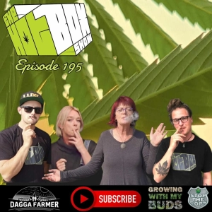 Trick or treating medibles, local farmers and new rules for NYC stoners- The #Hotboxshow Episode 195