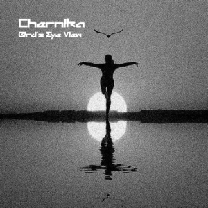 OMNI-32 DJ CHERNIKA (BIRDS EYE VIEW)
