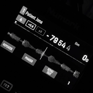 Patient Jena (Ethno/Elektro/Downtempo/Folktronika - Tracklist in Description)