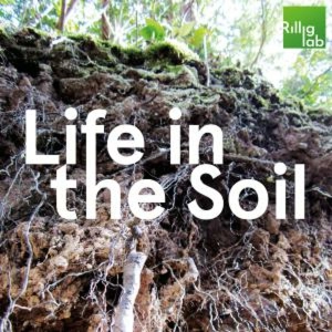 Introducing: Life in the Soil (Teaser)