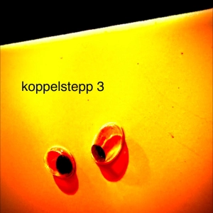 REC-2026 0040PA koppelstepp 3