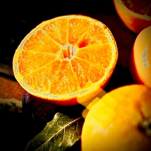 REC - 2023 027PA  orangina