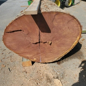 LU 75 Finding Lumber at Auction with Tommaso Valeriano
