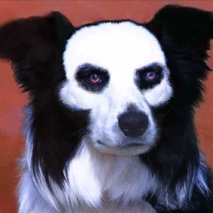 Disolver! x Comun Radio: Especial de Halloween (Kingsley)