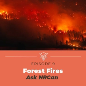 Impact Of Climate Change On Forest Fires (AskNRCan)