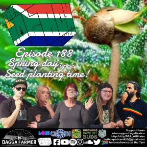 Spring Day ... Seed Planting Time + Planting Seeds of Change - The #Hotboxshow Episode 188