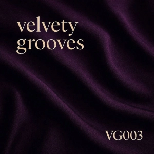 Deep Sexy Sultry House - Velvety Grooves VG003