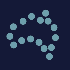 The Citizens Report
