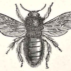 Science Fiction Meets Natural History