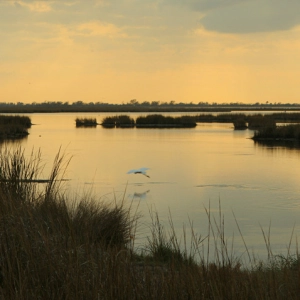 What you need to know about coastal damages lawsuits and a new deal the state reached
