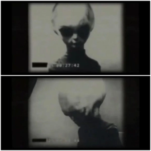 Grey Aliens and Artificial Intelligence: The Battle Between Natural and Synthetic Beings for the Human Soul