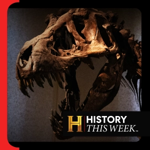 The Bone Wars