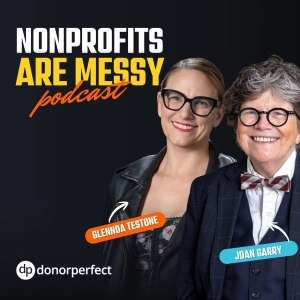 Nonprofits Are Messy: Lessons in Leadership | Fundraising | Board Development | Communications