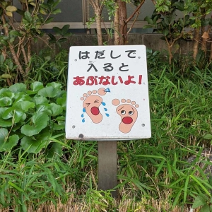 My first day back in Japan