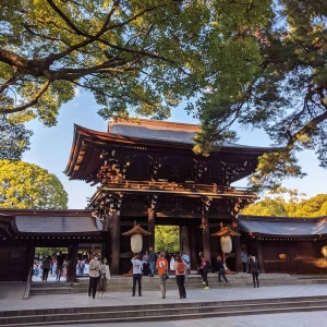 Visiting Shibuya and Yoyogi Park