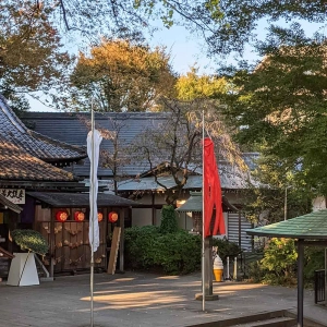 Dubious travel tips for Japan