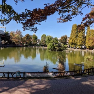 Traveling from Itabashi to Akiruno, Tokyo
