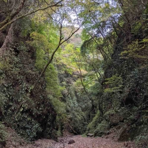 Hiking to Kongo Falls in Tokyo