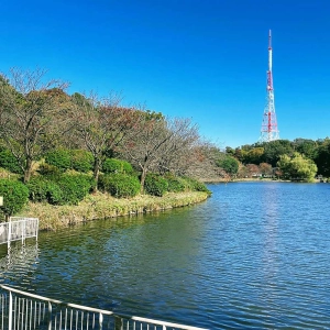 Exploring north Yokohama