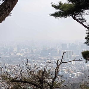 Don't visit Seoul in the winter