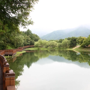 Exploring Uirimji Lake, Jecheon, South Korea
