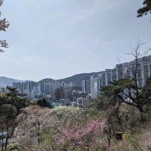 Busan is pretty amazing