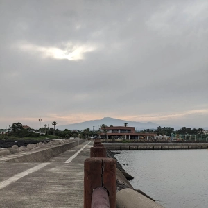 The Jeju Olle Trail - Namwon to Pyoseon