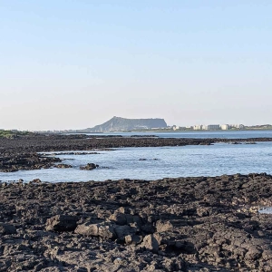 Learning the secrets of the Jeju Olle Trail