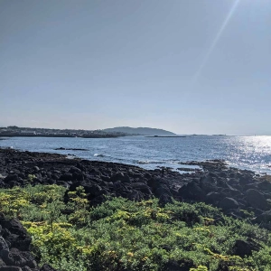The war caves of Seoubong, Jeju, Korea