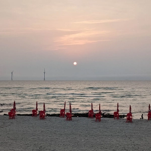 A strange disaster between Gwakji and Hyeopjae Beach
