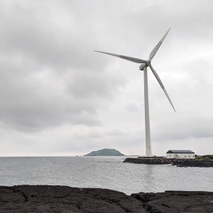 Breaking the orbit of Jeju City - to Wolyeong Cactus Colony