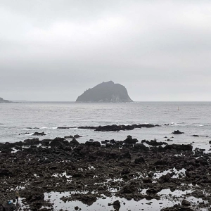 I'm gonna miss Jeju Island
