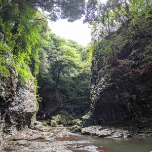 The Andeok River Valley - So long Jeju!