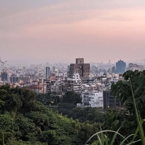 I saw a monkey in Taipei