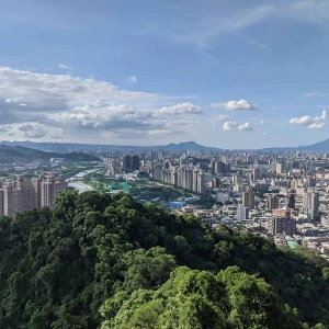 Lion Cub Mountain and Japan return plans