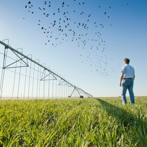 How can university researchers help California small farmers with Adauto Rocha