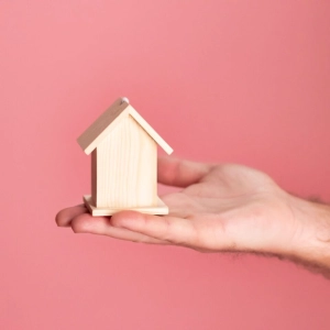 FirstPersonSingular: Steve Pleich – Housing