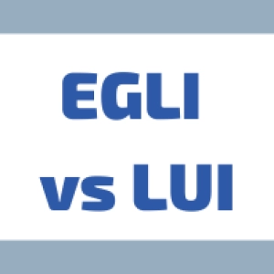 EGLI vs LUI: Differenze ed Usi