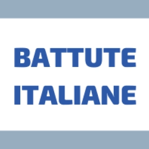 Capisci l’IRONIA in Italiano?