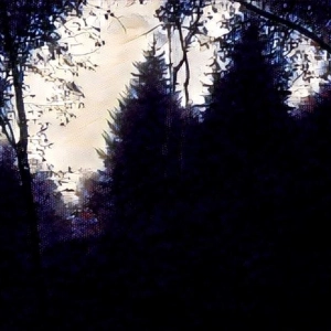The Devil In The Darkness