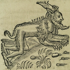 The Dogman of Dallas or The Werewolf of Preston Hollow