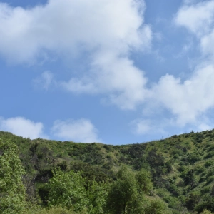 Over 50 & Undervalued: Inclusivity in Beauty & Fashion