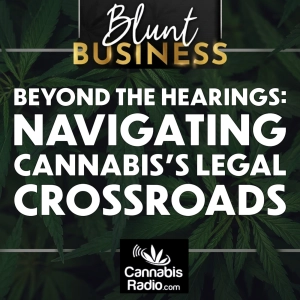 Beyond the Hearings: Navigating Cannabis's Legal Crossroads