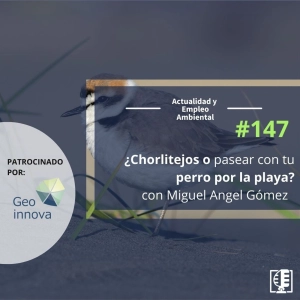 ¿Chorlitejos o pasear con tu perro por la playa?, con Miguel Angel Gómez #147