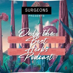 Season 2 - Episode 12