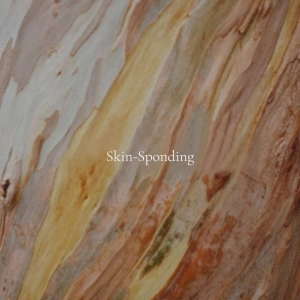 Skin-Sponding